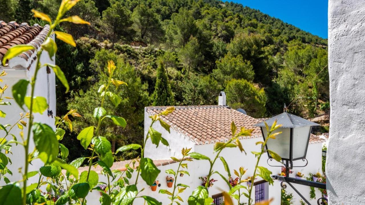 Casa Alhama Frigiliana By Ruralidays Villa Exteriör bild